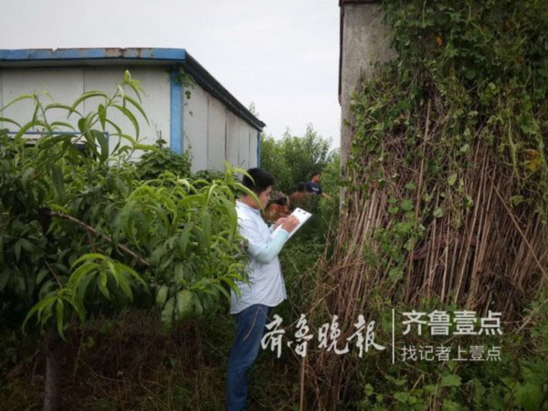 济南香蕉成人电影